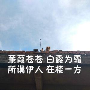 亚洲AV㊙️无码一区桃乃
